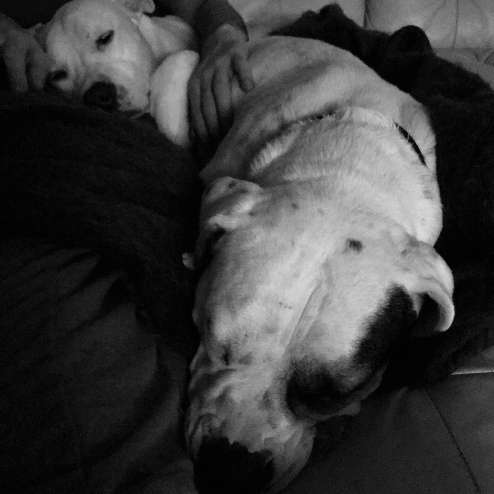 Meet your Posher, Marissa🖕